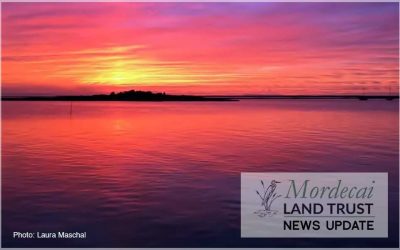 Mordecai Island’s Major Leap: US Army Corps Advances Breakwater Ecosystem Restoration Project