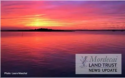 Mordecai Island’s Major Leap: US Army Corps Advances Breakwater Ecosystem Restoration Project