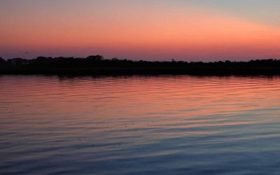 The Beauty and Value of Mordecai Island