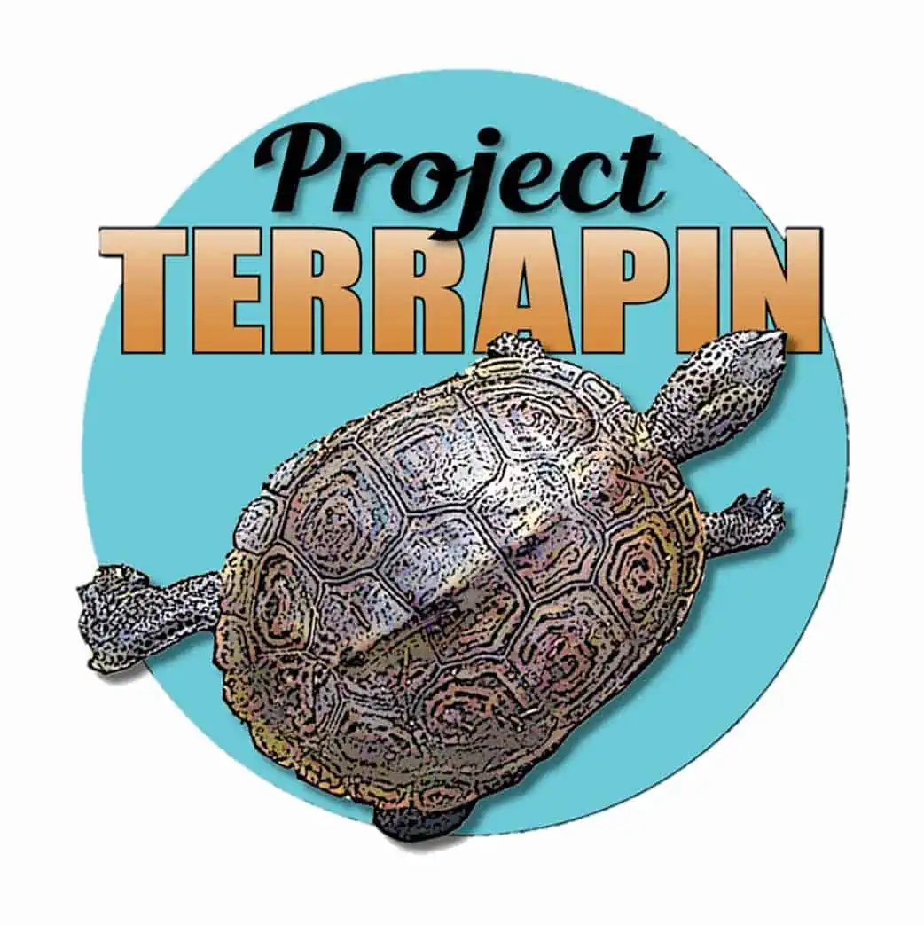 project terrapin