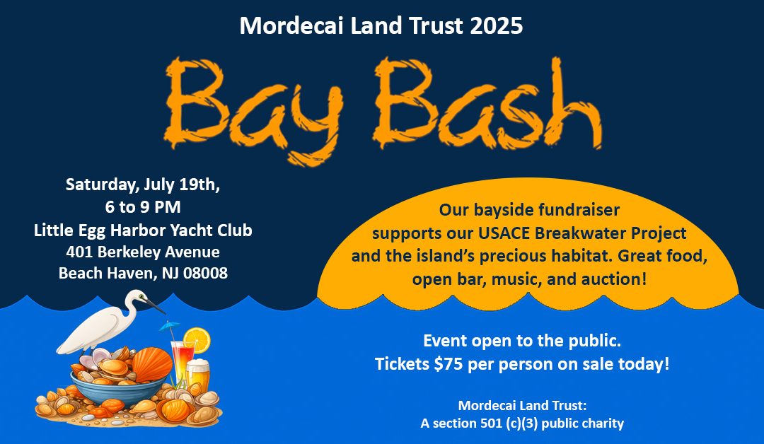 Bay Bash 2025: Support Coastal Conservation at Our Annual Fundraiser