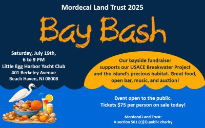Bay Bash 2025: Support Coastal Conservation at Our Annual Fundraiser