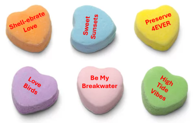 Celebrate Love with Us!