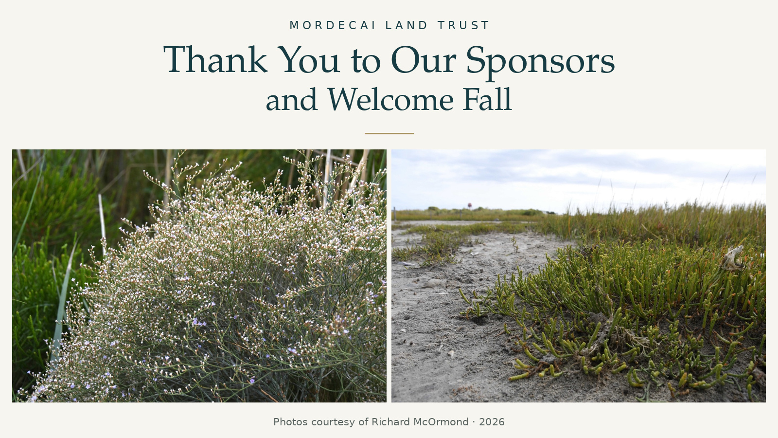 Mordecai_Fall_Featured_Image